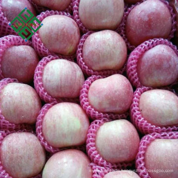 chinese fresh red fuji apple fresh apple